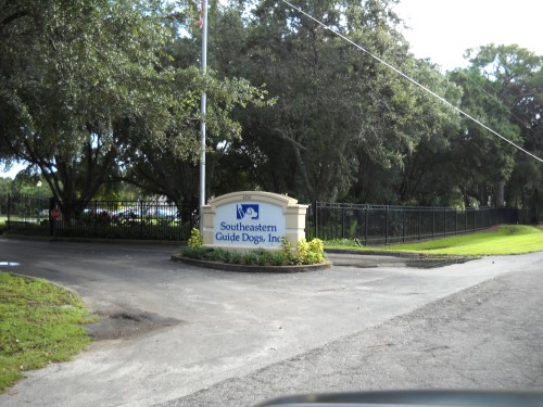aab