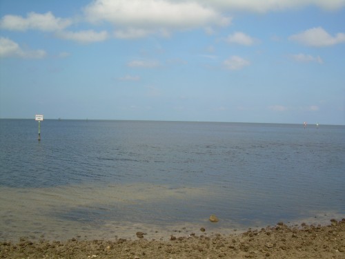 aba