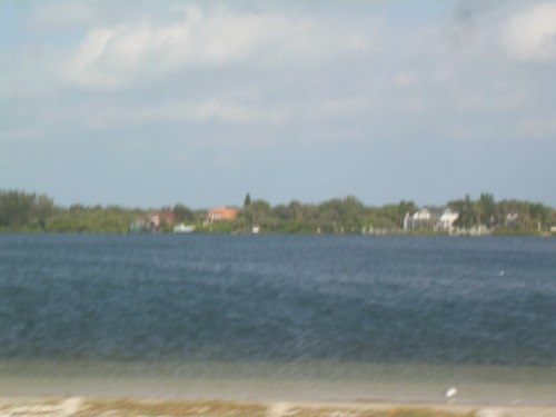 aau