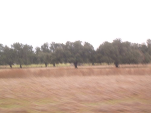 aag
