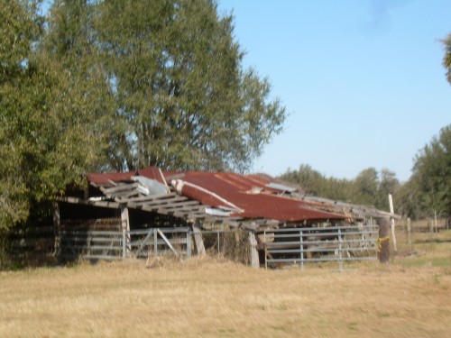 aal