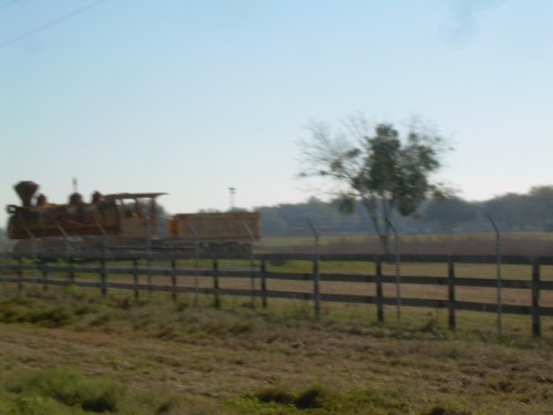 aal