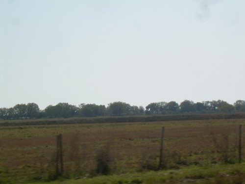 aal