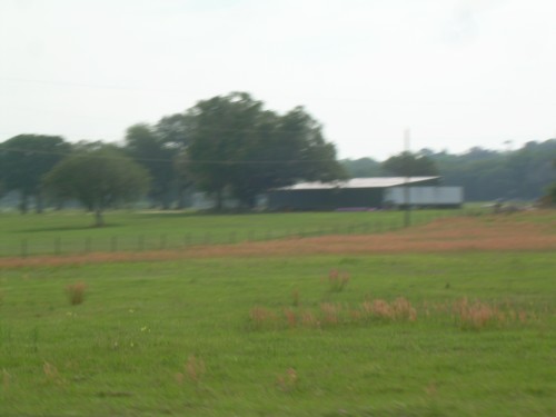 aai