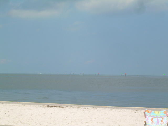 aal