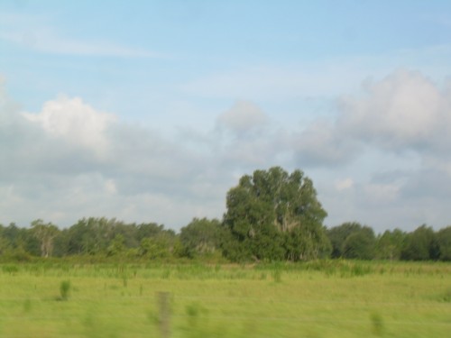 acc