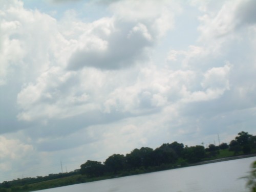 aal