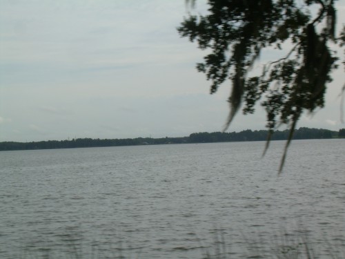 aad