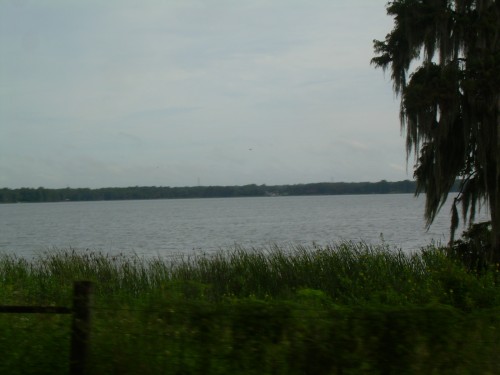 aae