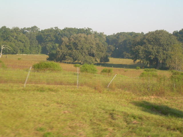aab