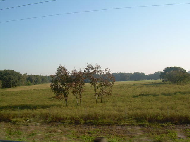aav