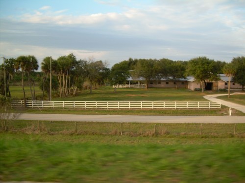 aan