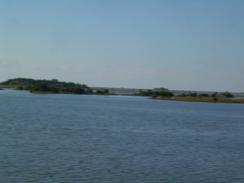 aau