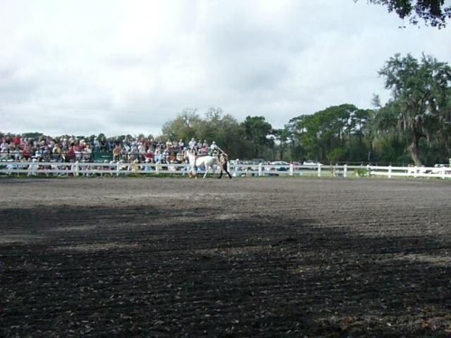 acf