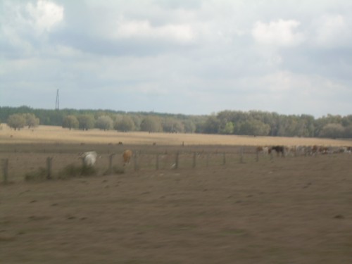 aar