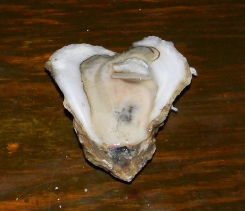 aba