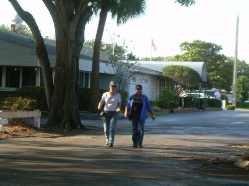 aew