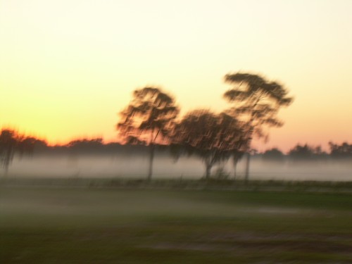 acw