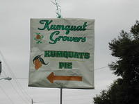 Kumquat Festival 01/26/08
