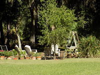 Paws for Patriots 10-10-2016 (109)