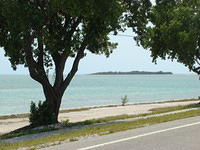 Key West Overnight 4-10-2014 (61)
