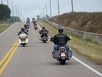 Homasassa - Monkey Island 12-07-2014 (17)