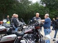 Homasassa - Monkey Island 12-07-2014 (4)