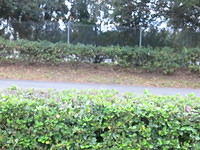 PortOrange 12-27-14 TH004