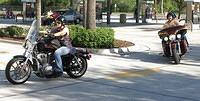 Ride 7-06-14 Porkys Apollo TH020