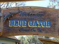 Blue Gator 3-01-2014