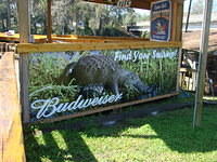 Blue Gator Tiki Bar March 1 2014 (40)