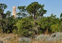 Ride 3-16-14 BokTower TH025
