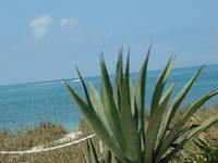 Casey Key Fish House 03-23-2014 (37)