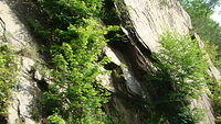 Helen - Tail of the Dragon 06-05-2015 (49)