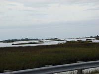 Cedar Key 11-21-2015 es (24)