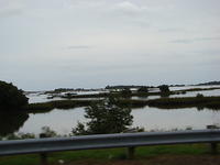 Cedar Key 11-21-2015 es (25)