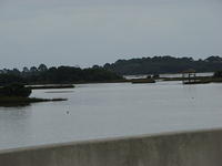 Cedar Key 11-21-2015 es (27)