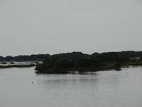 Cedar Key 11-21-2015 es (28)