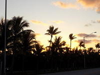 Key West 04-21-2016 (69)