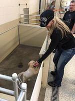 Mark - Southeastern Guide Dogs - 08-27-2016 (16)