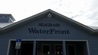 Debbie - Sea Grass - Homosassa 12-11-2016 (39)