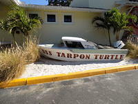 Tarpon Turtle -12-04-2016 (24)