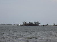 Earls Hideaway 04-30- 2017 (30)
