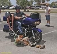 Mike - HOG GAMES 05-20-2017 (24)