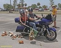 Mike - HOG GAMES 05-20-2017 (30)