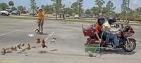 Mike - HOG GAMES 05-20-2017 (31)