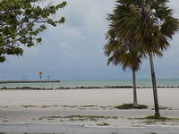 Key West 05-05-2017 (19)