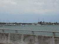 Key West 05-05-2017 (29)