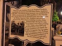Rosemary - Key West 05-04-2017 (13)