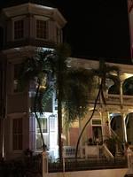 Rosemary - Key West 05-04-2017 (20)